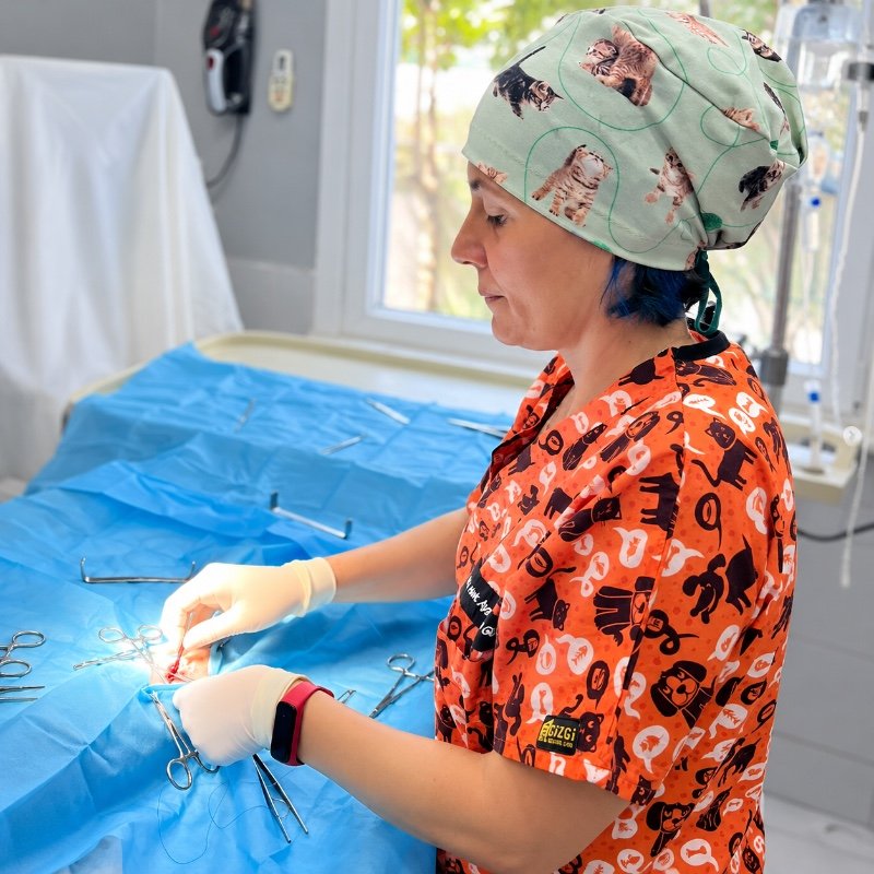 Veteriner Hekim Dilara Afitap Demirer