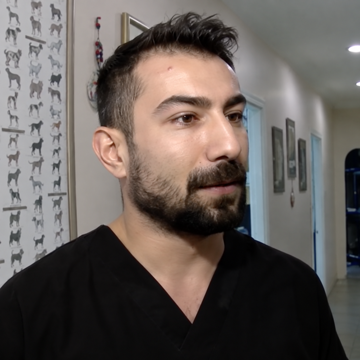 Veteriner Hekim Temel Kanak